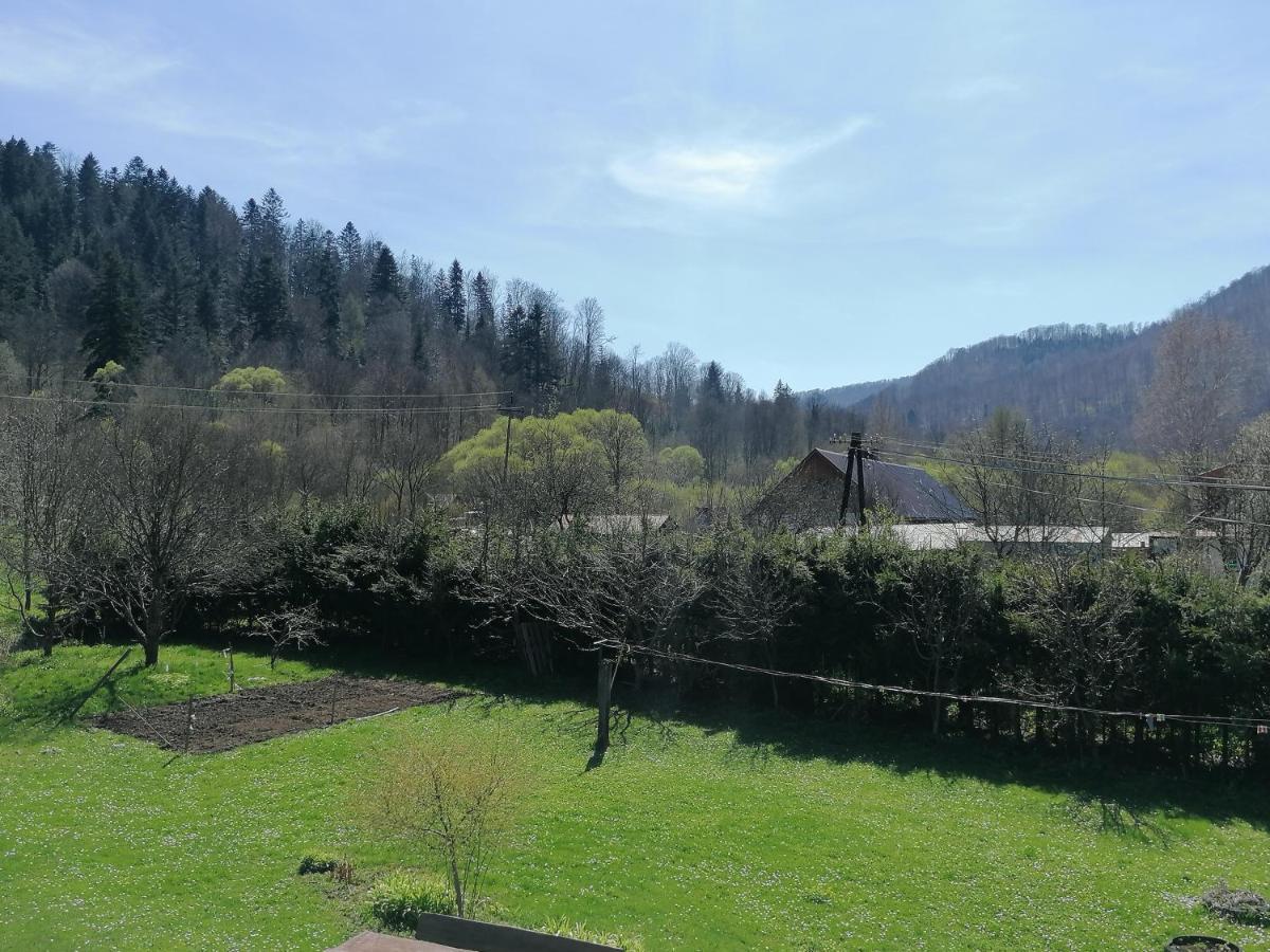 Agroturystyka Pod Kasztanem 卢托维斯卡 外观 照片